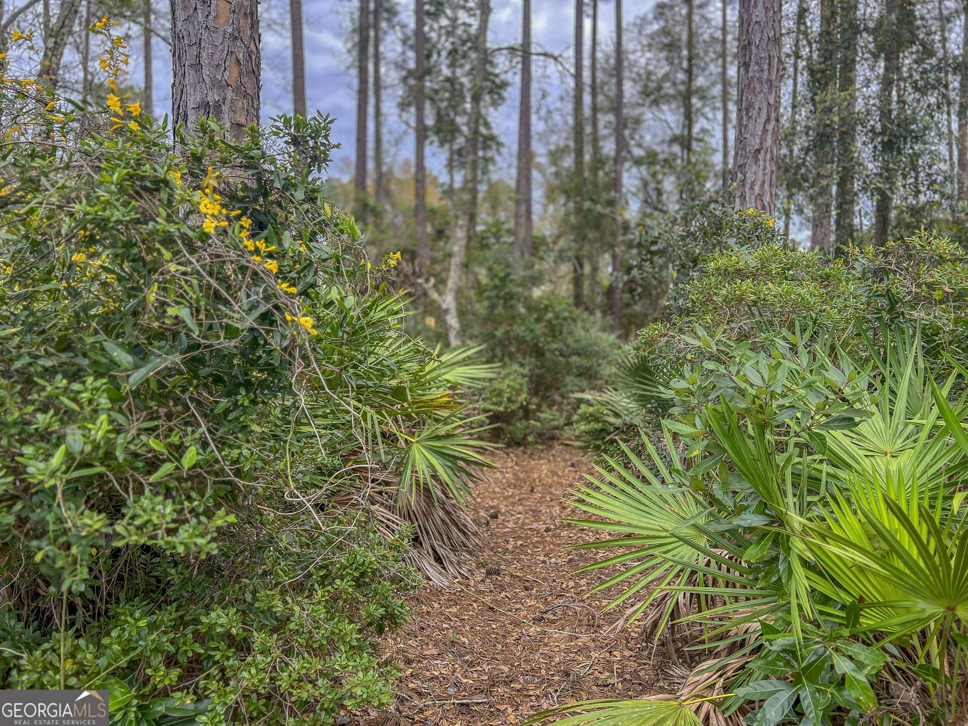 St. Marys, GA 31558,213 Angler LN