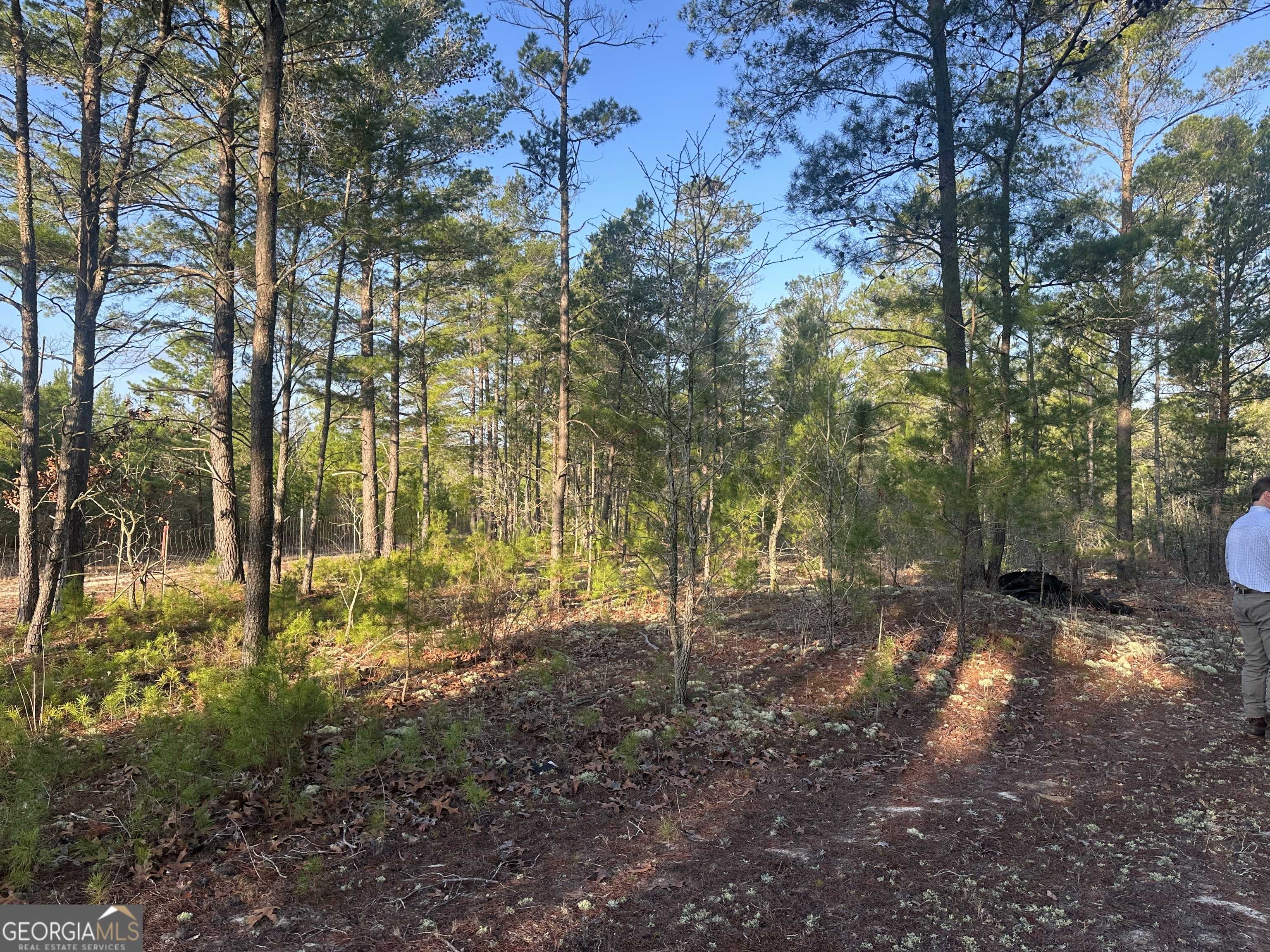 Roberta, GA 31078,4.78 ACRES Horne RD