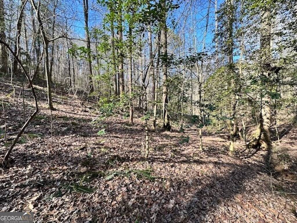 Ellijay, GA 30540,LOT 3764-R EAGLE MOUNTAIN