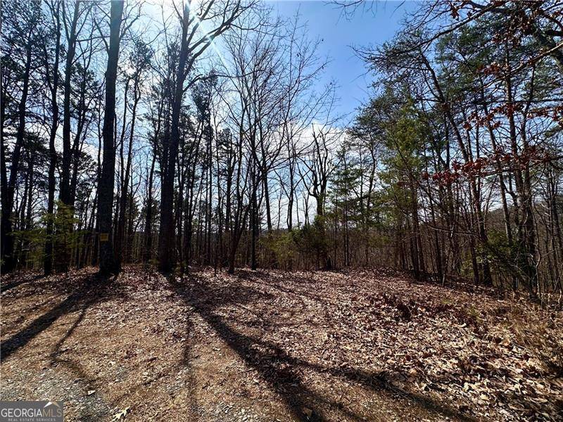 Ranger, GA 30734,1345 Hunter DR