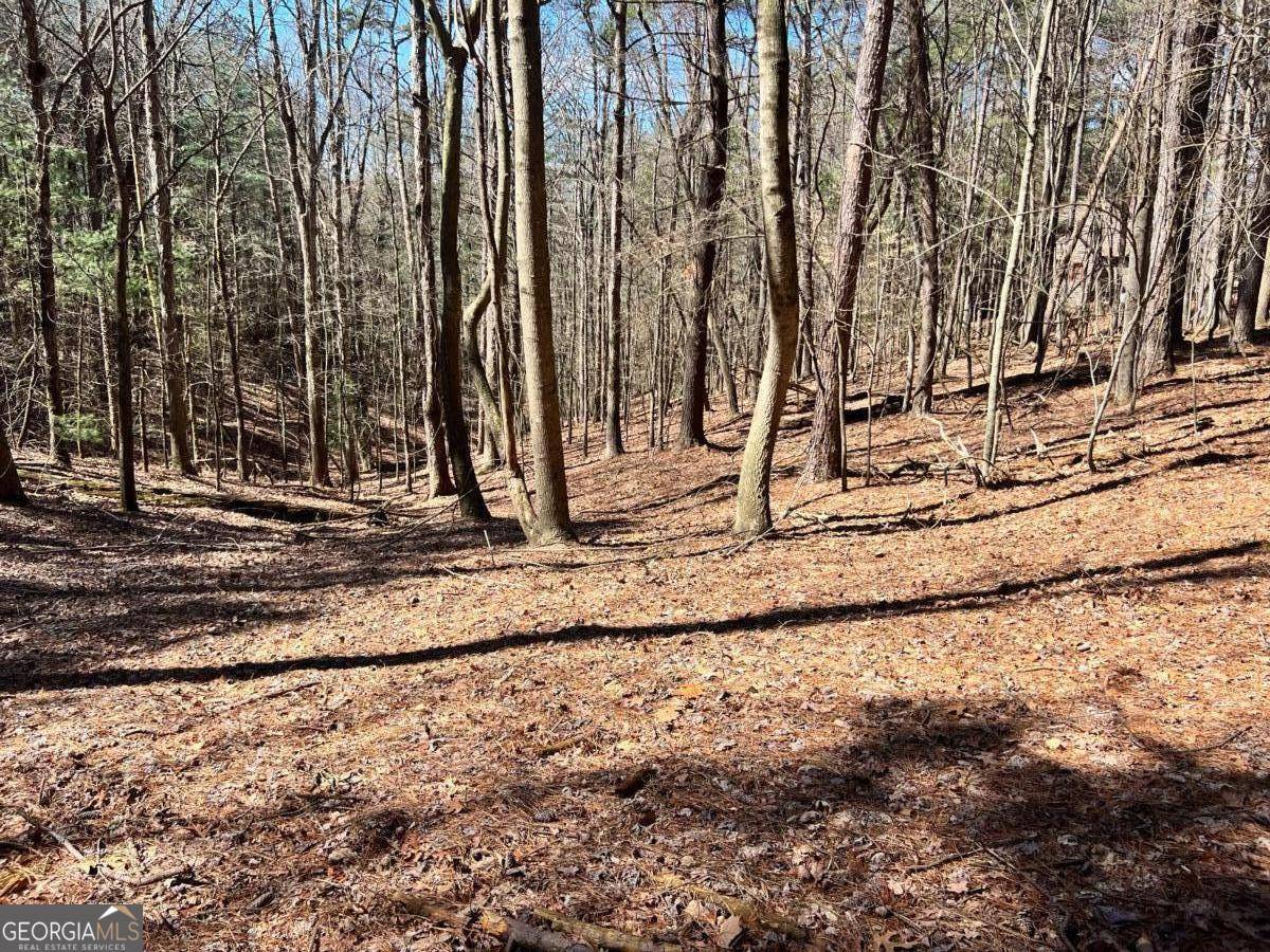 Ellijay, GA 30536,LOT 32 Lakeview CIR