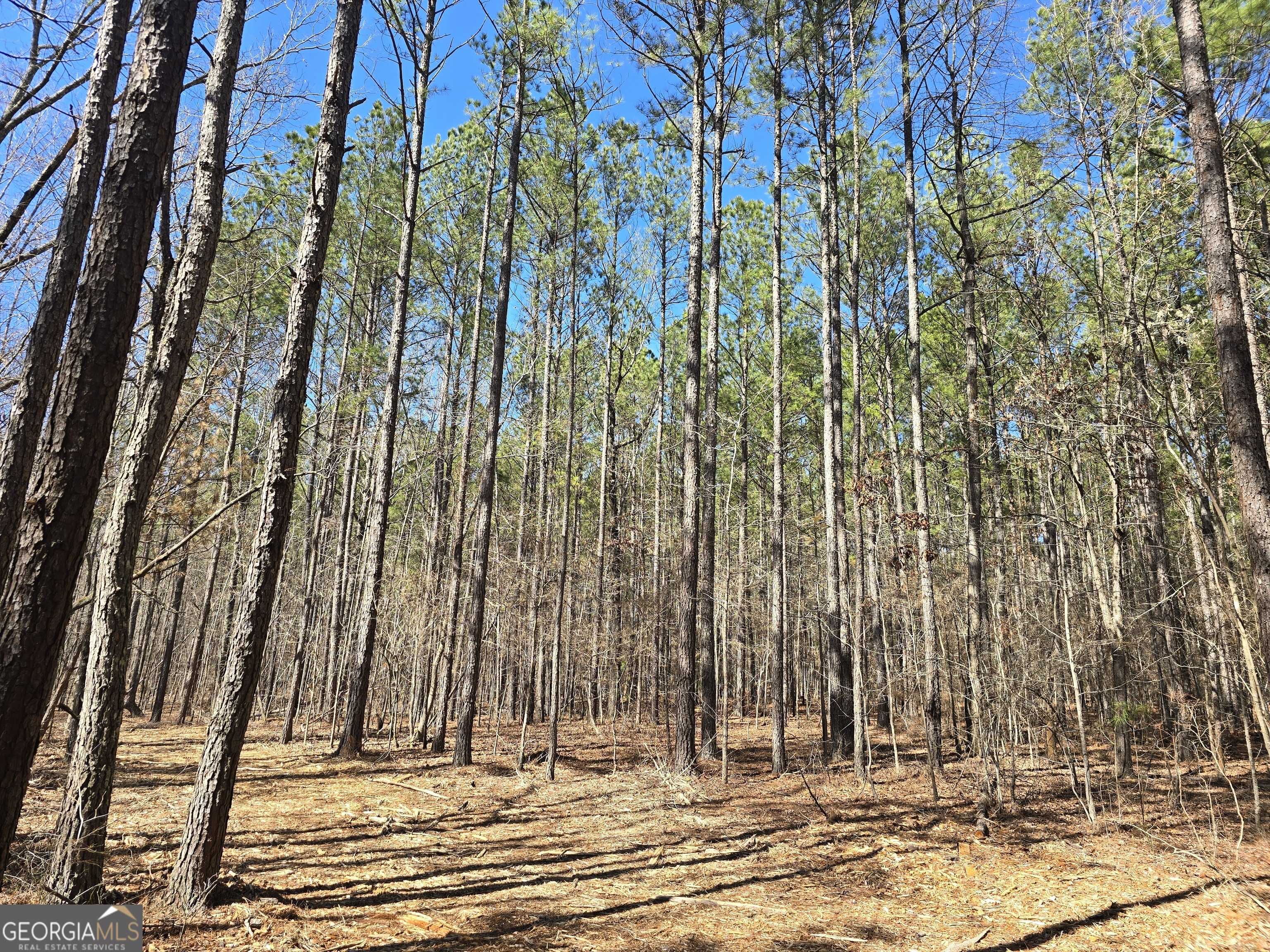 Zebulon, GA 30295,05 Bolton RD