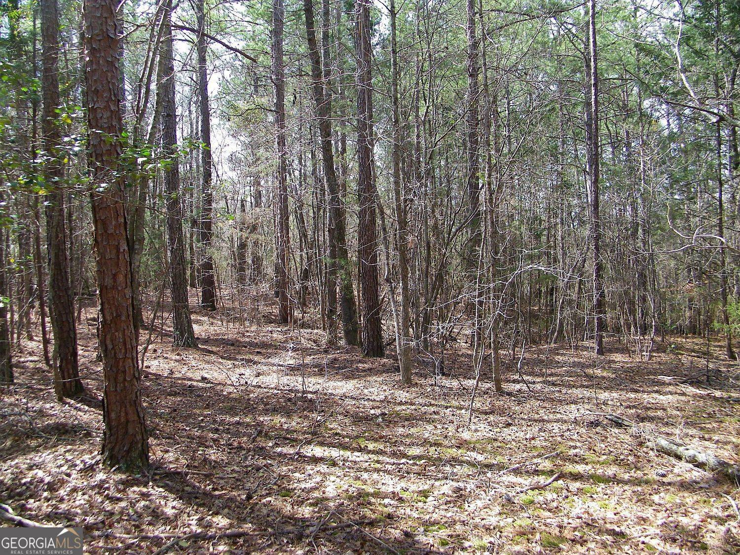 Elberton, GA 30635,LOT 5 Blackberry Bend