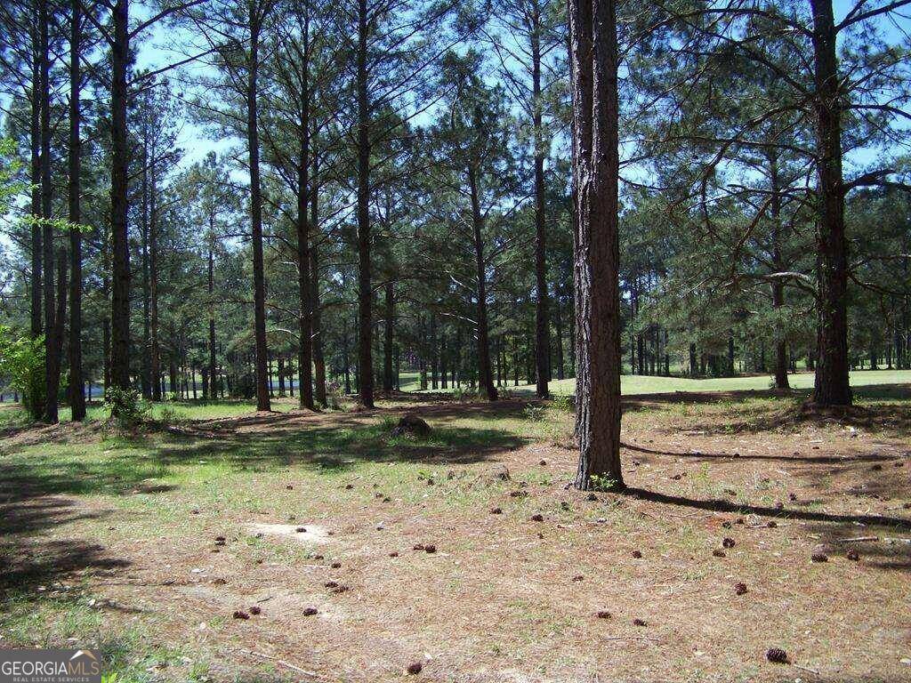 Ashburn, GA 31714,0 Eagle CT #30