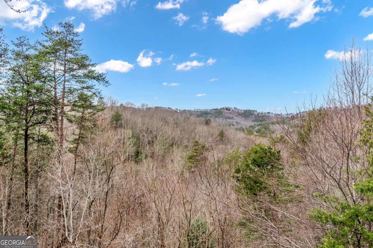 Blue Ridge, GA 30513,3680 Aska RD