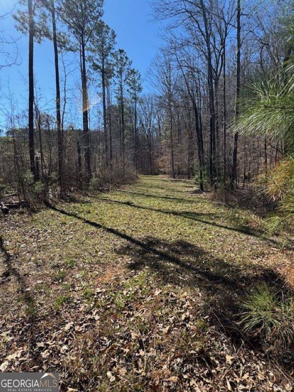 Shiloh, GA 31826,0 Brown Creek RD