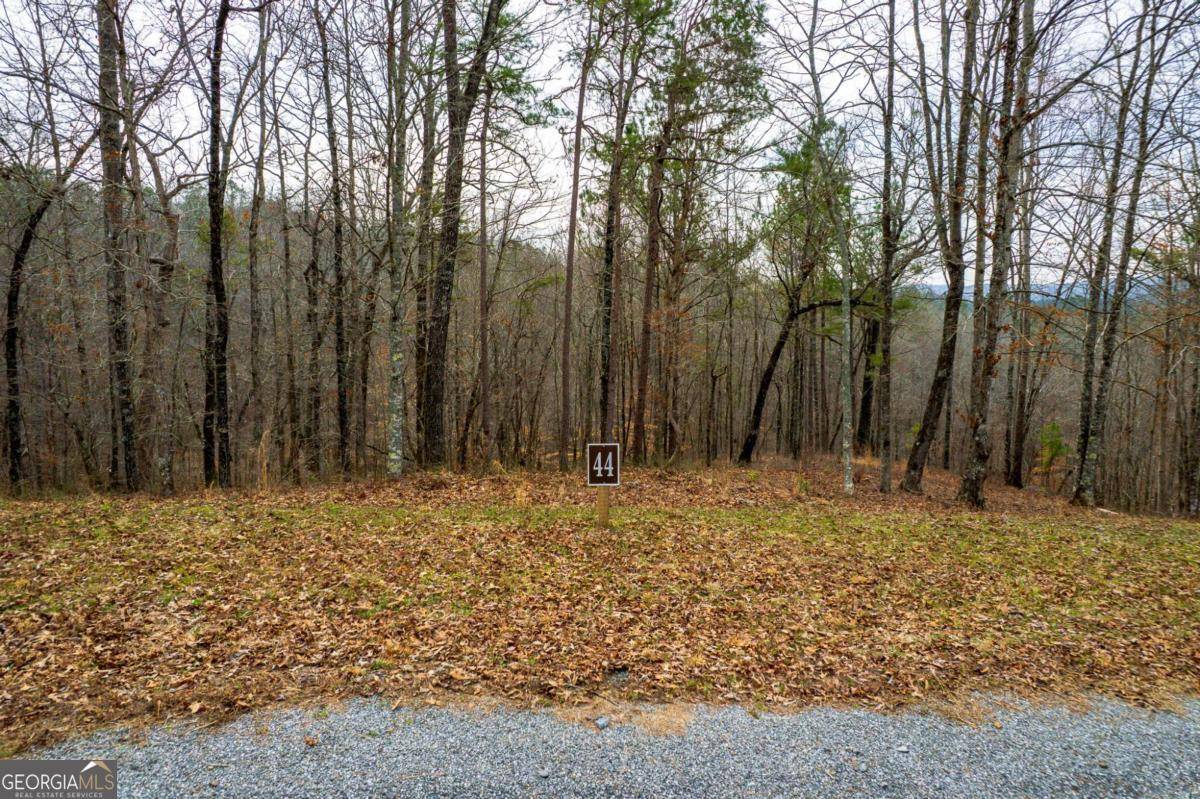 Talking Rock, GA 30175,LOT 44 Bucktail WAY