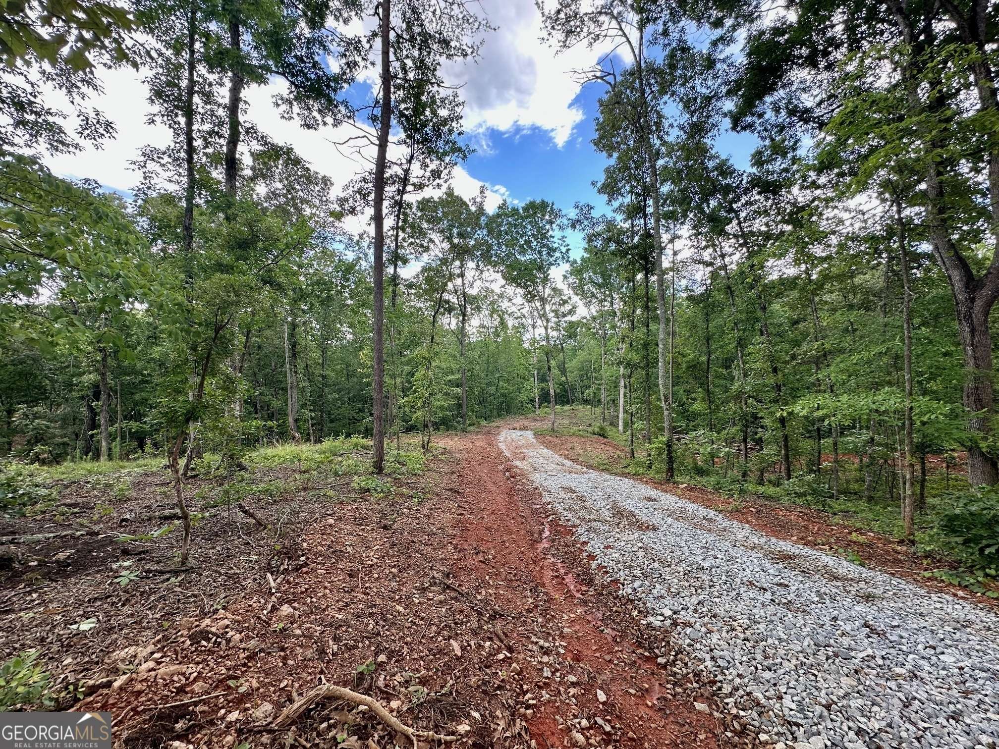 Dawsonville, GA 30534,4.09 Yancy Drive