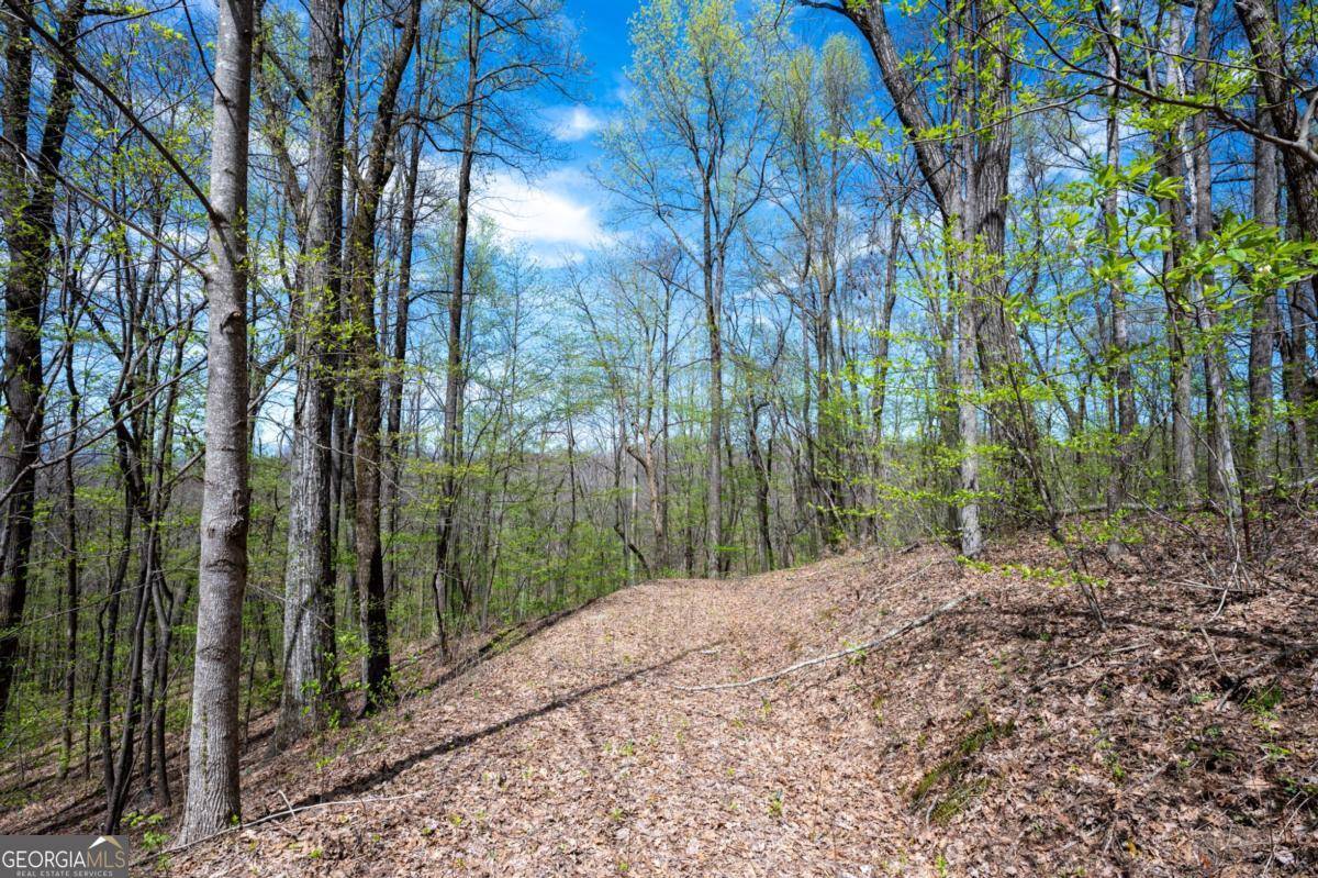 Ellijay, GA 30540,LOT 7R Mountain Falls LOOP