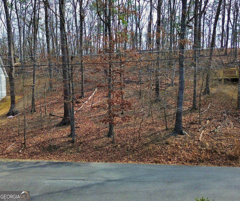 Waleska, GA 30183,242 LAKEVIEW CIR