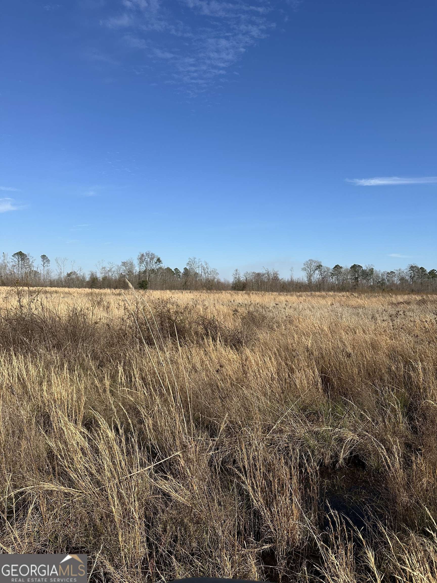 Millen, GA 30442,1031 Scott S Store (15 Acres) RD