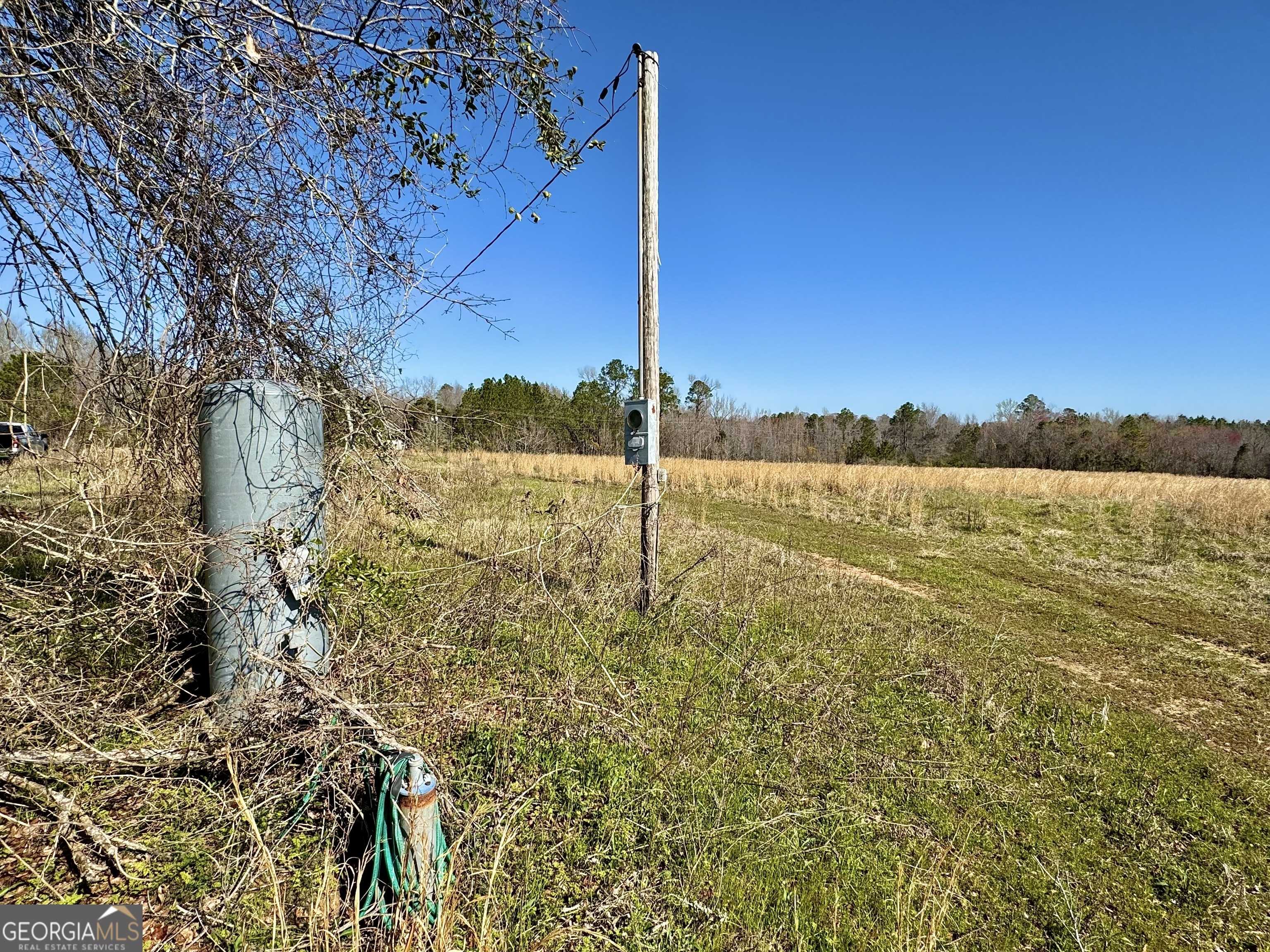 Dexter, GA 31019,2819 Stripling RD