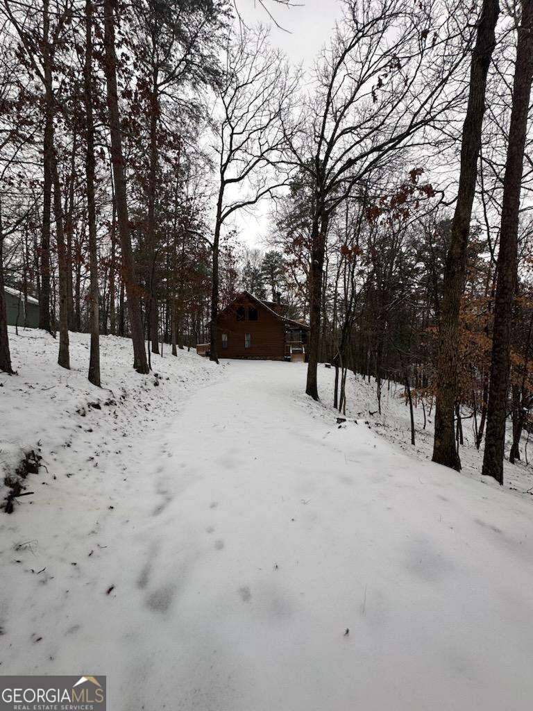 Ellijay, GA 30540,114 Palisade DR