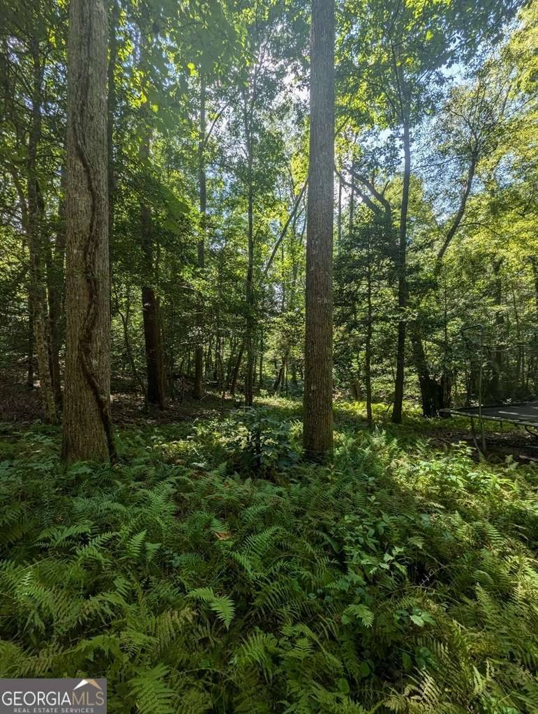 Clarkesville, GA 30523,620 Blackberry LN