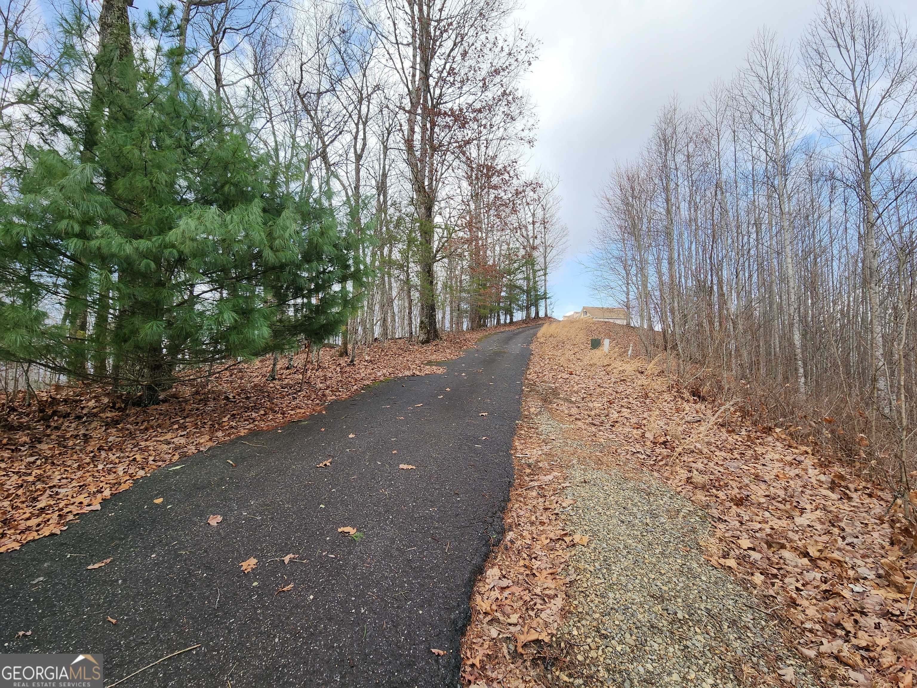 Blairsville, GA 30512,0 Terrace Lane