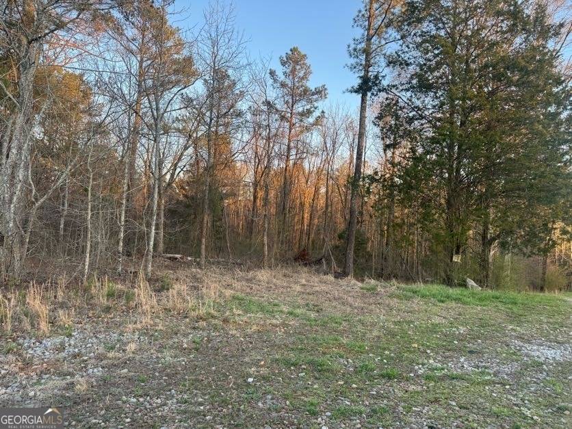 Carrollton, GA 30116,0 Clem Lowell RD