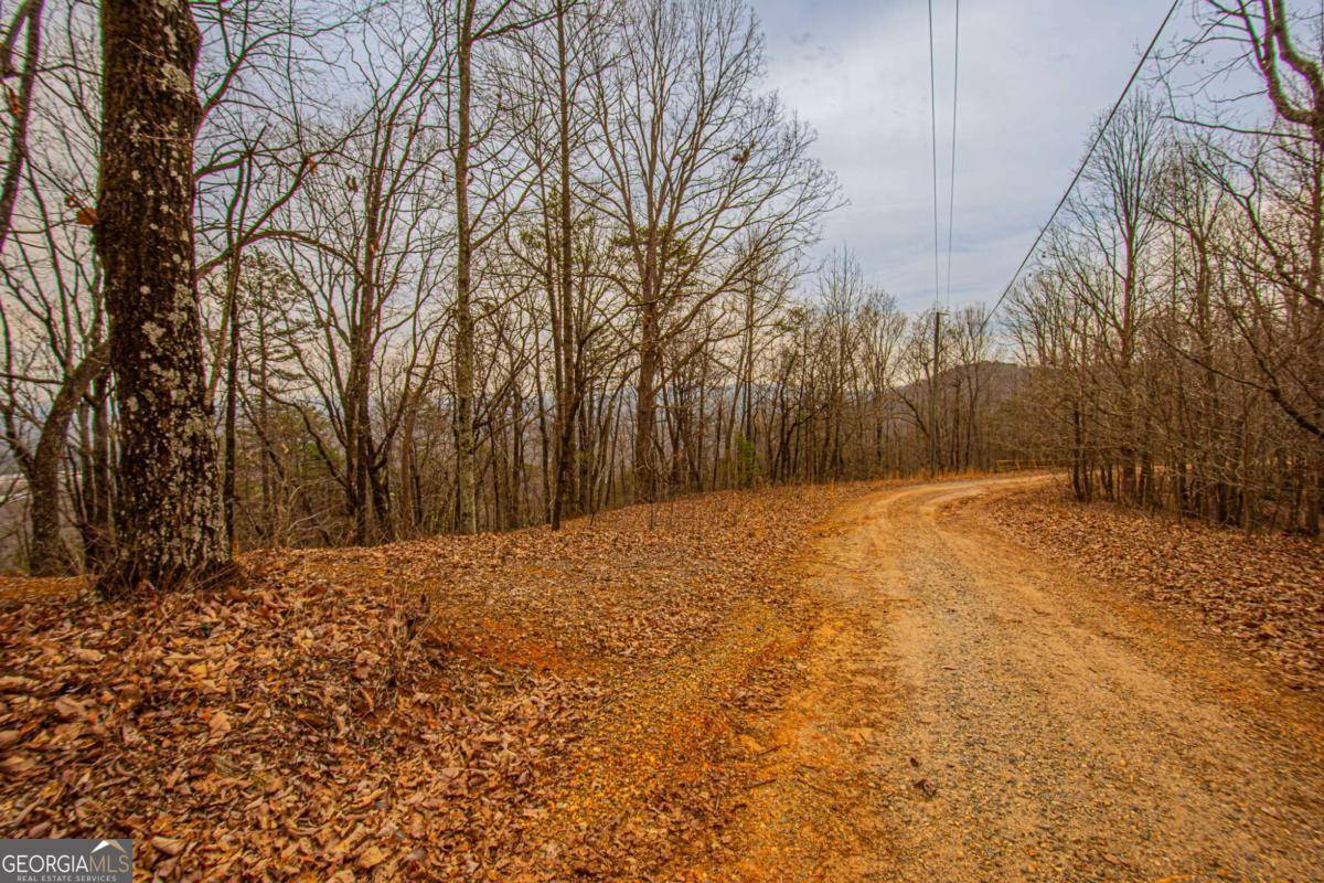 Cleveland, GA 30528,0 Long Mountain RD