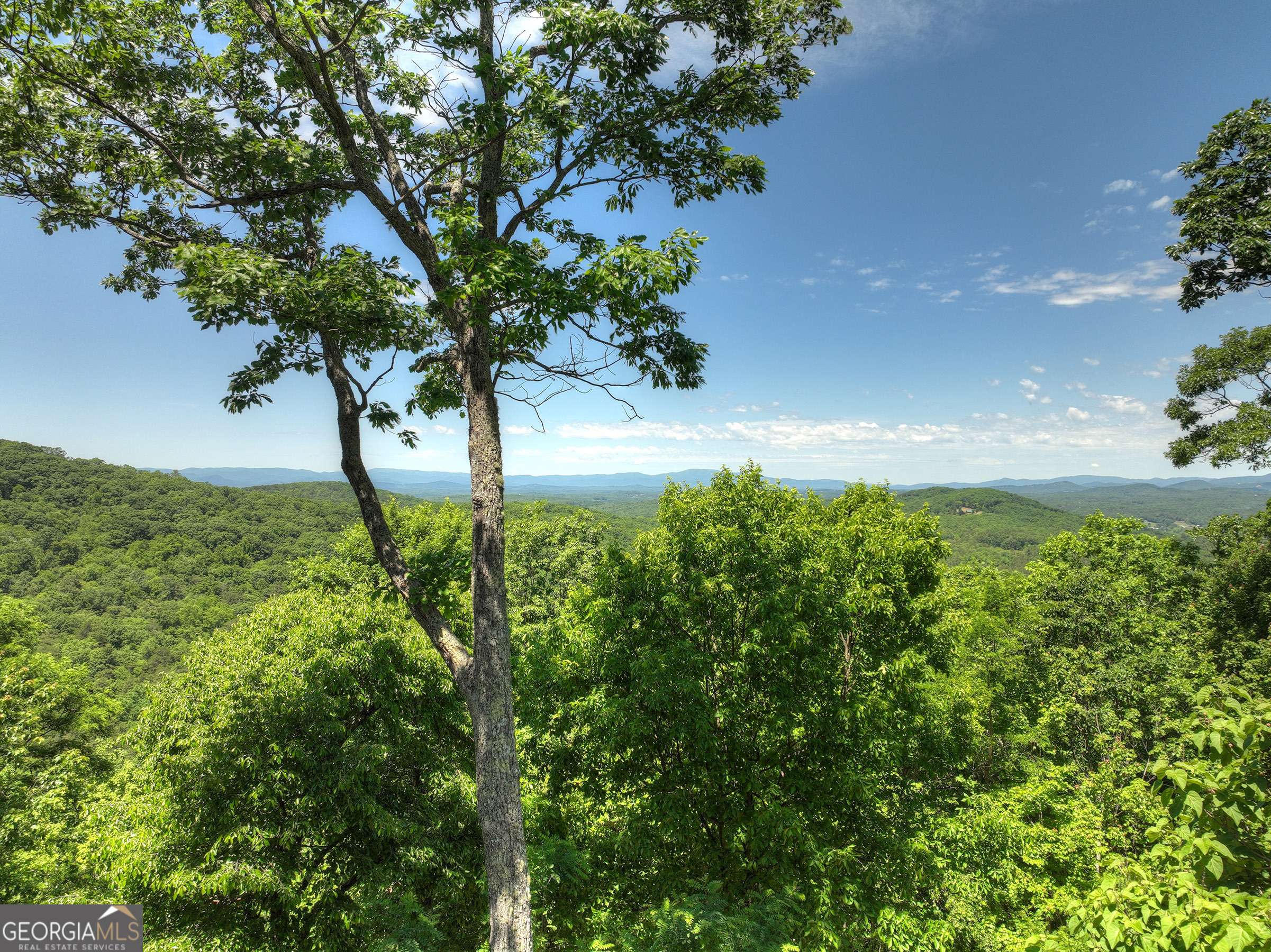 Morganton, GA 30560,305 Enchanting CIR