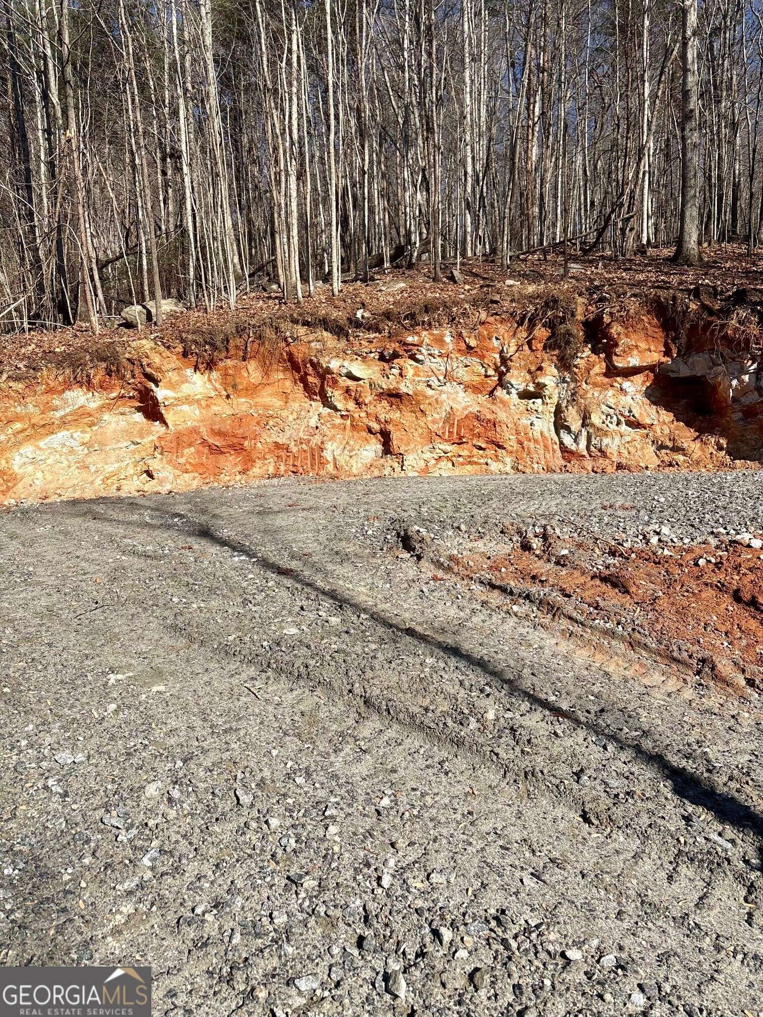 Sautee Nacoochee, GA 30571,28 B Sal Mountain WAY