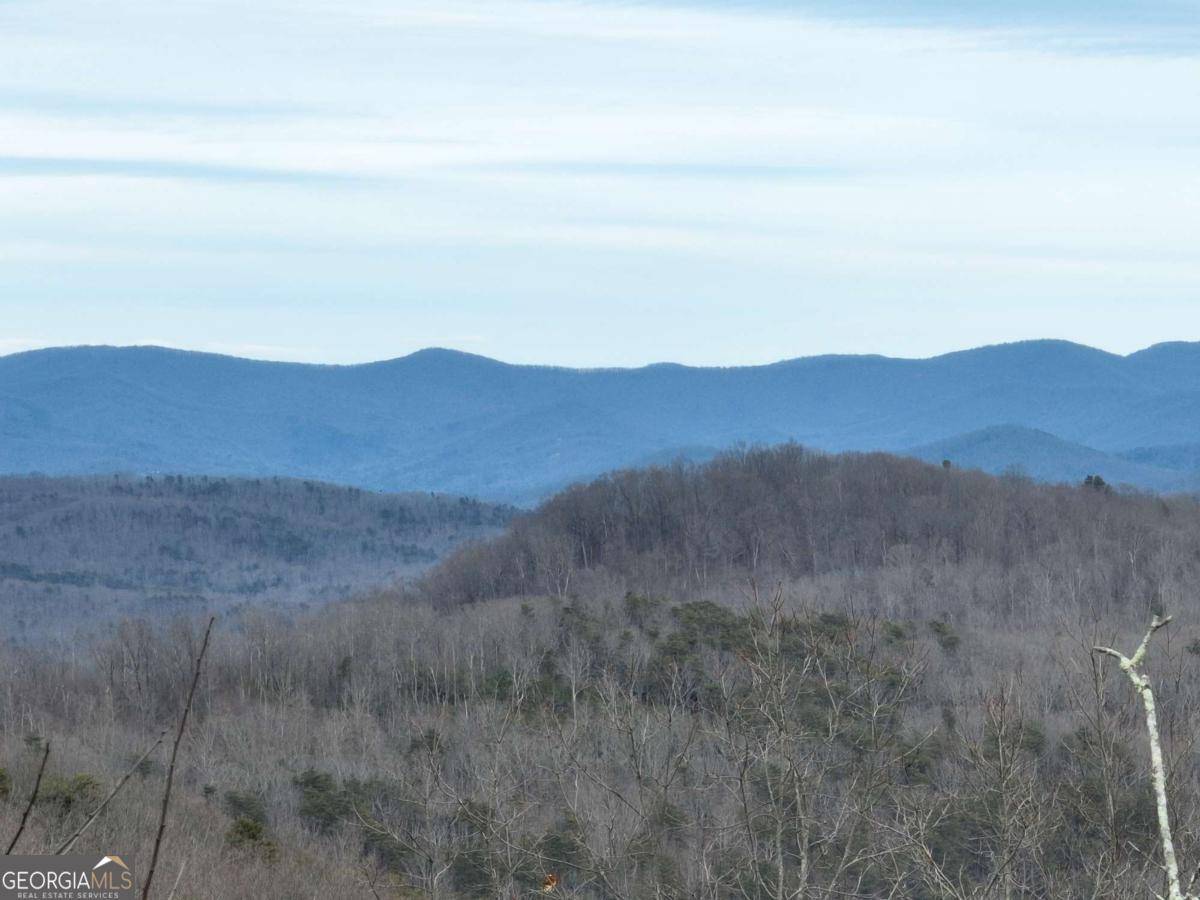 Ellijay, GA 30536,235 Andes Ridge DR