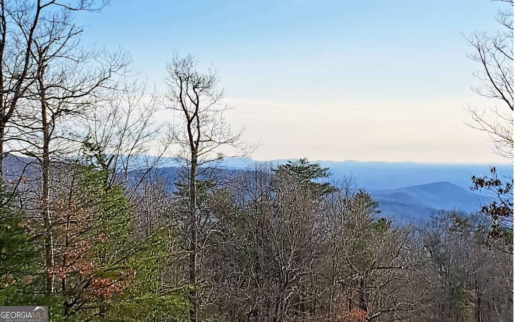 Chatsworth, GA 30705,LOT2 Summit PASS #2