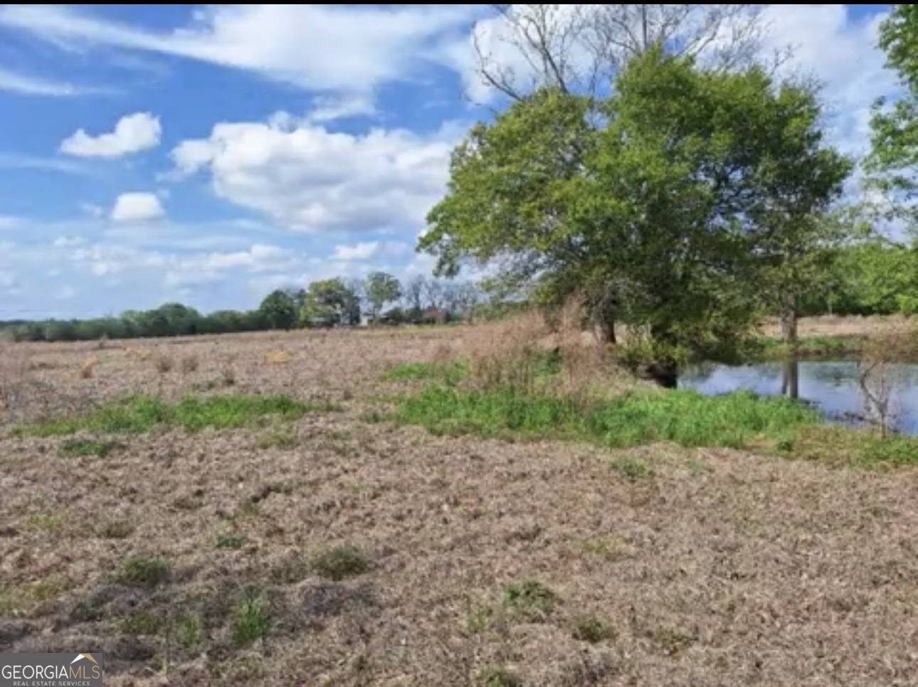 Millen, GA 30442,0 W Old Savannah RD #TRACT 2