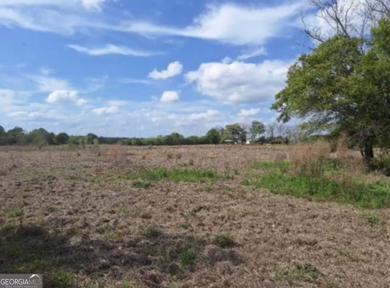 Millen, GA 30442,0 W Old Savannah RD #TRACT 2