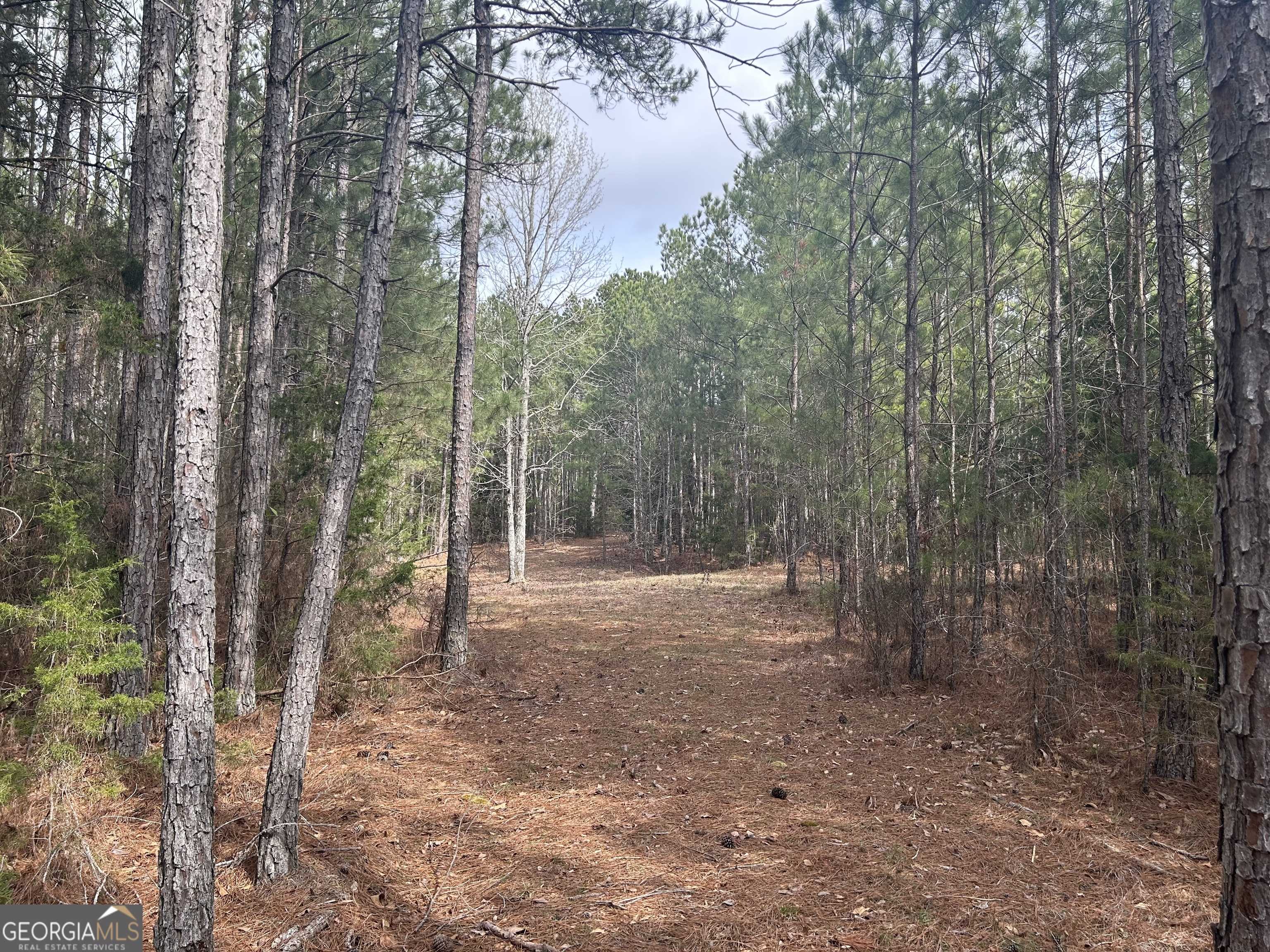 Elberton, GA 30635,0 Russel Ridge CT