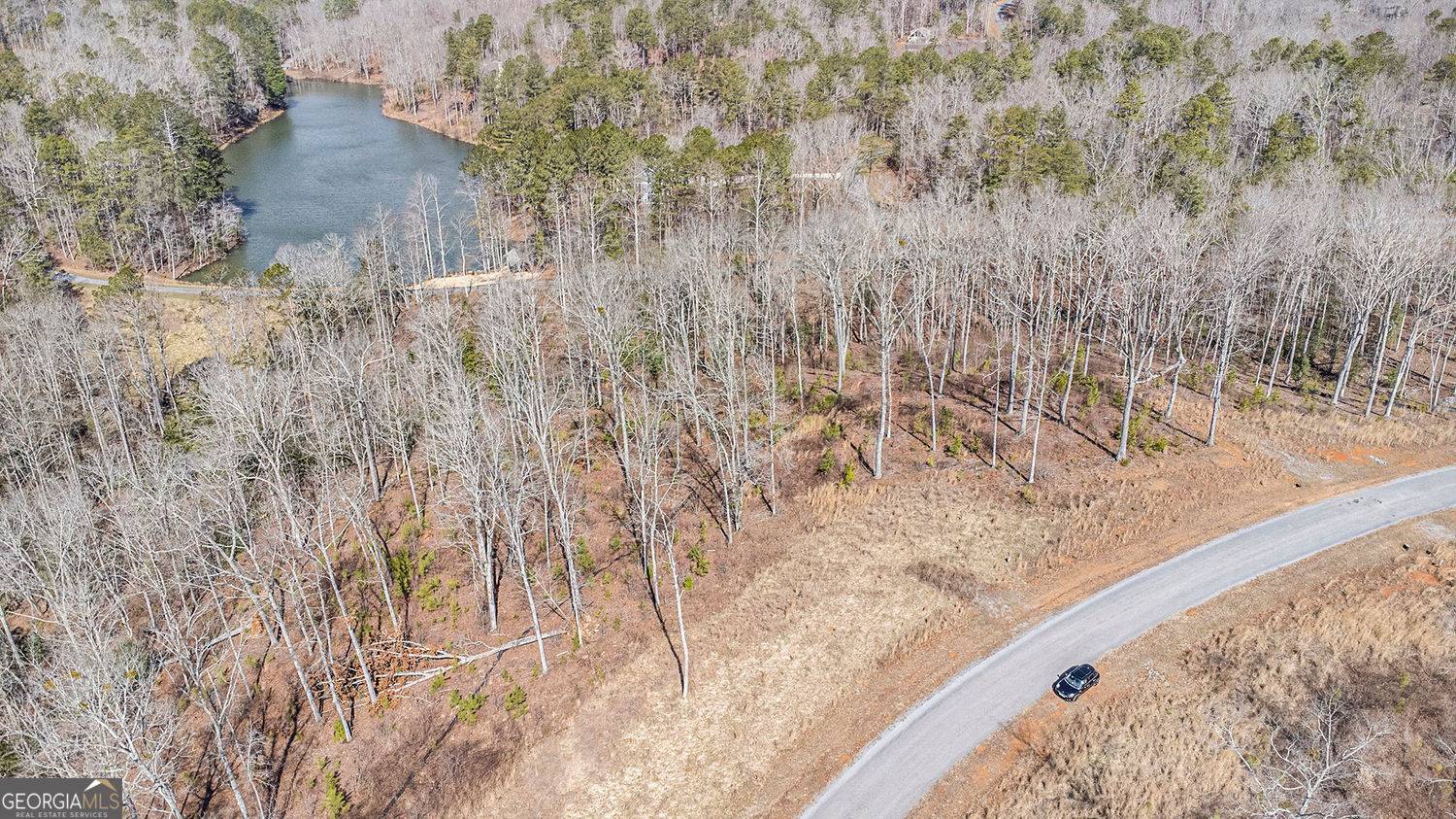 Ellijay, GA 30540,LOT 163 Lecroy DR #LOT 163