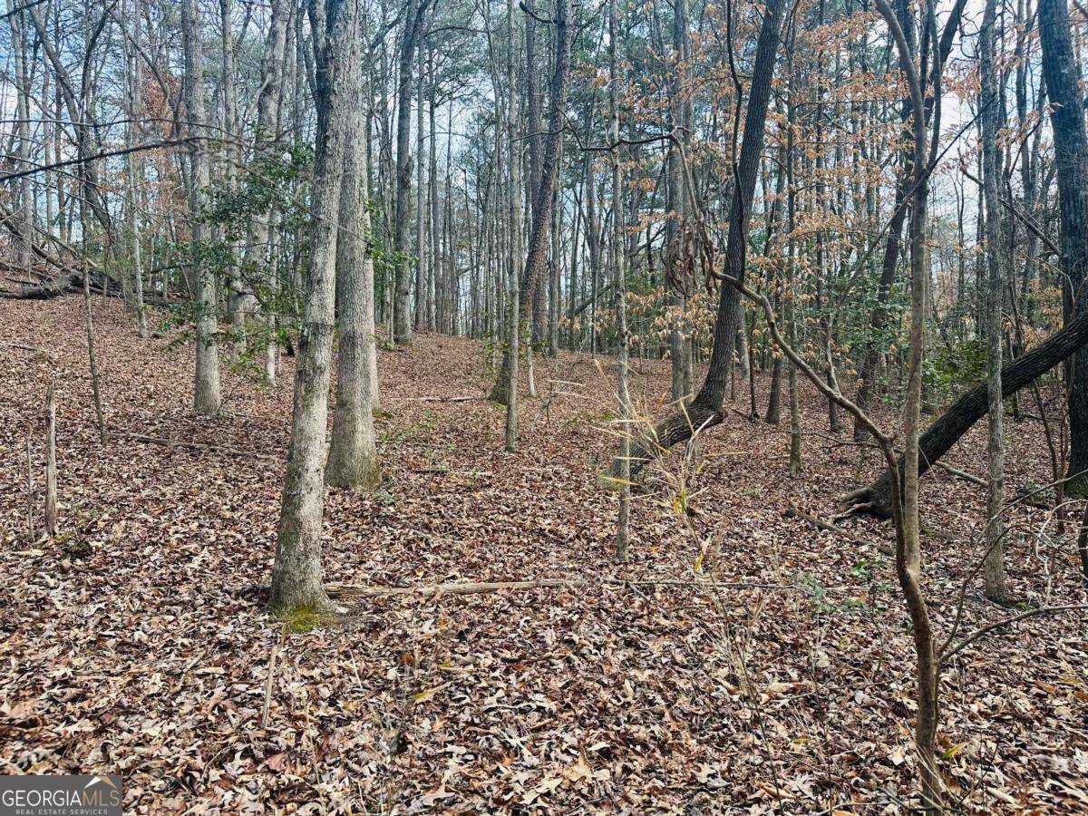 Dawsonville, GA 30534,LOT 28 Fern Park DR