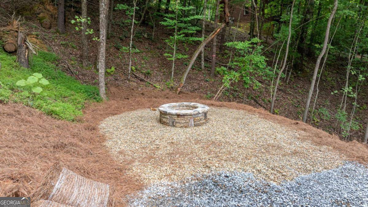 Blue Ridge, GA 30513,120 Green Ridge RD