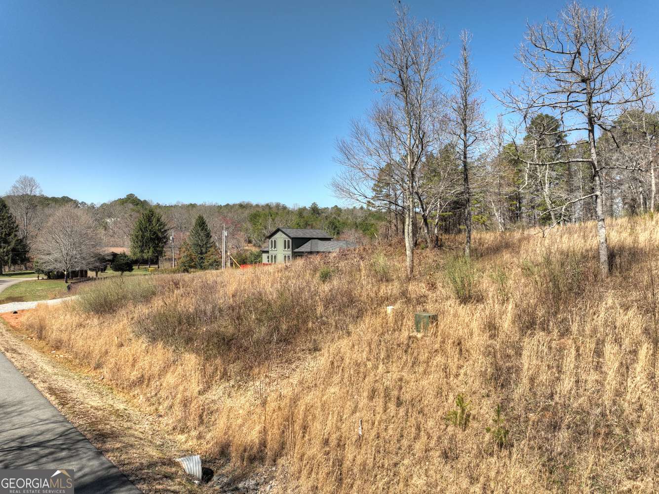 Mineral Bluff, GA 30559,2 Arbor Creek TRL