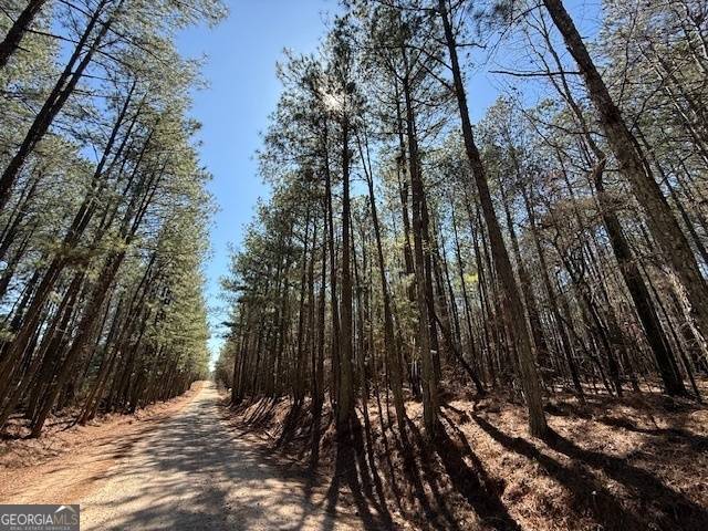 Elberton, GA 30635,7 Cedar Creek RD