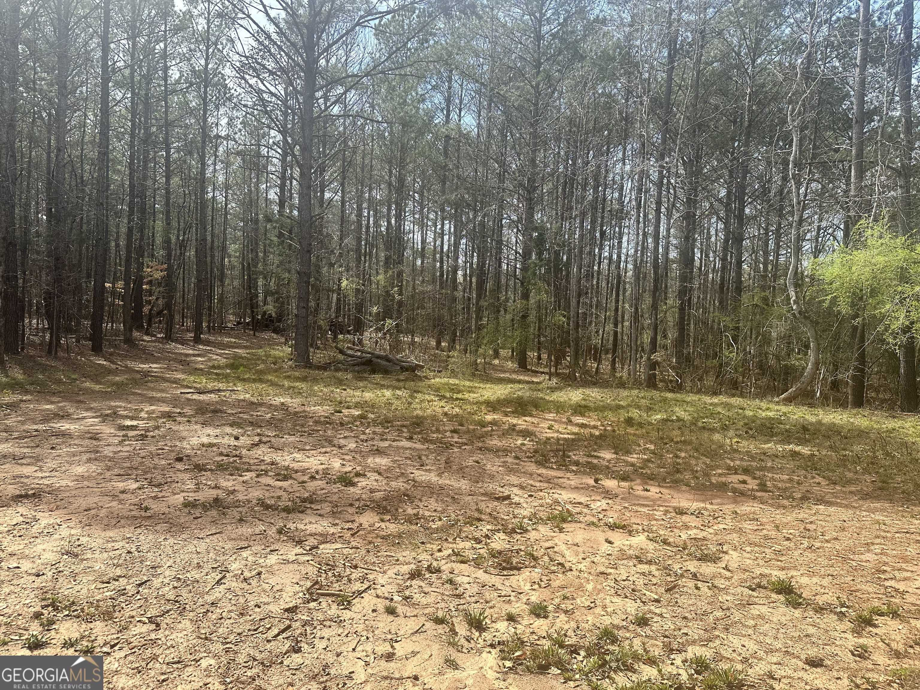 Jackson, GA 30233,LOT 24 Hamlin RD