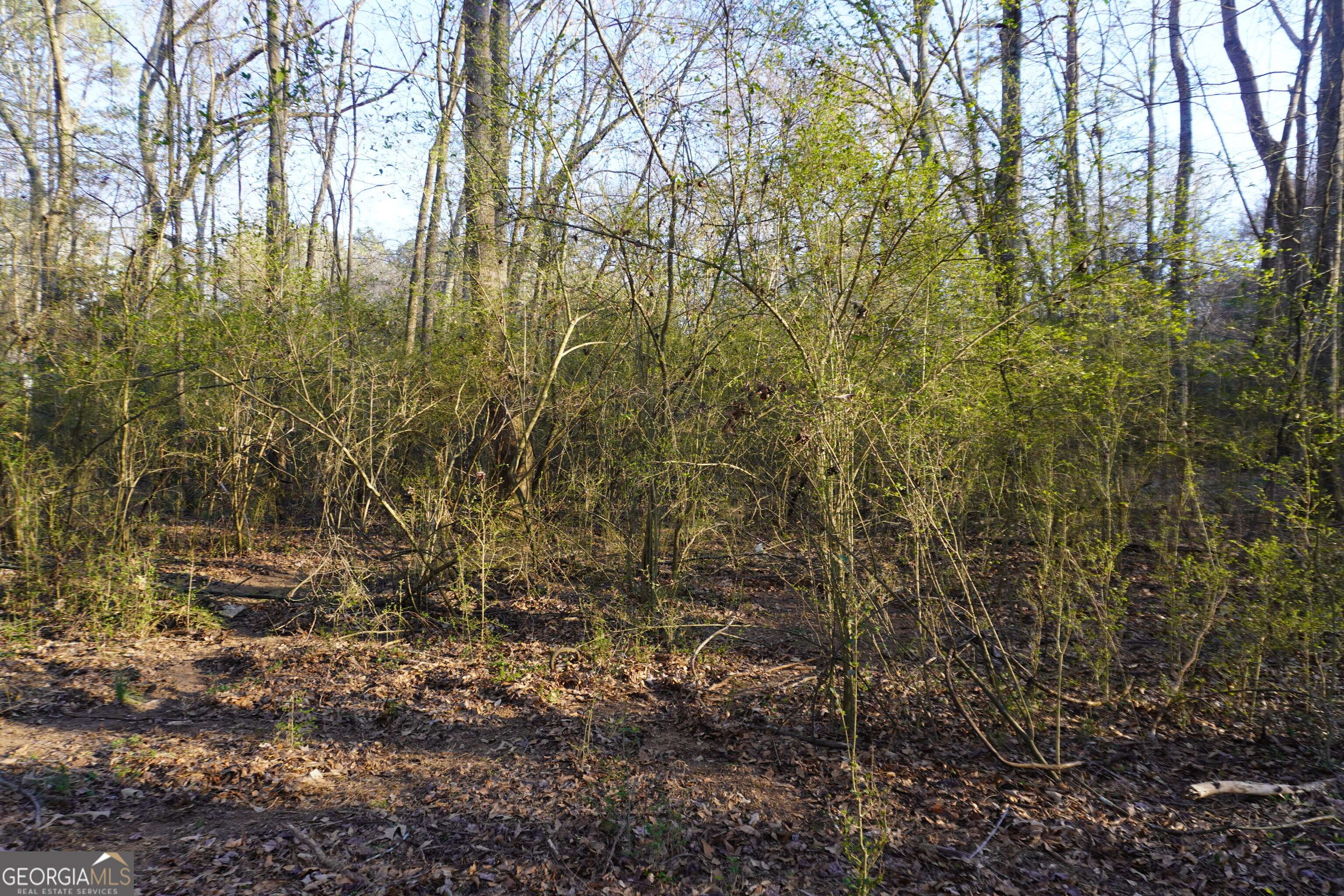Oxford, GA 30054,0 Whitehead RD
