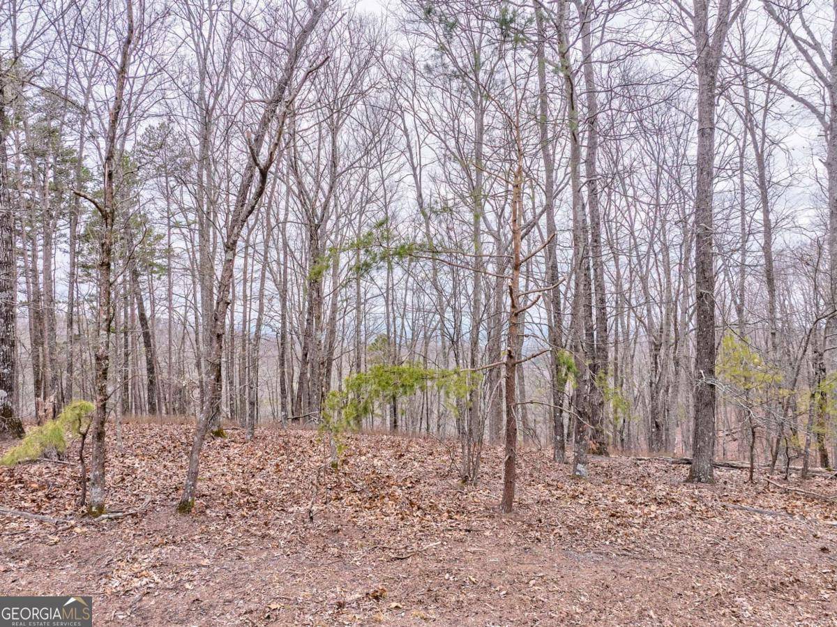 Ranger, GA 30734,1000 Raccoon Ridge RD NE