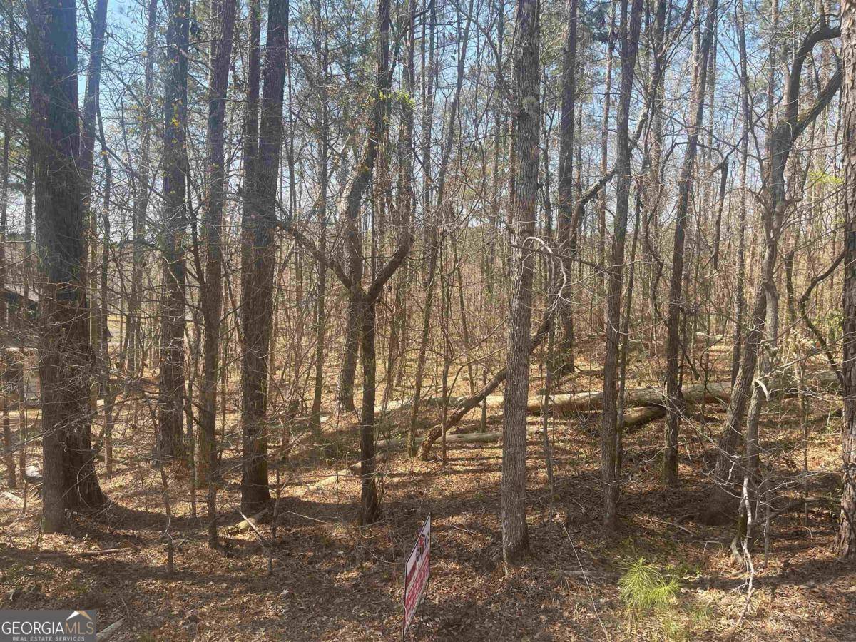 Sparta, GA 31087,485 Cedar DR