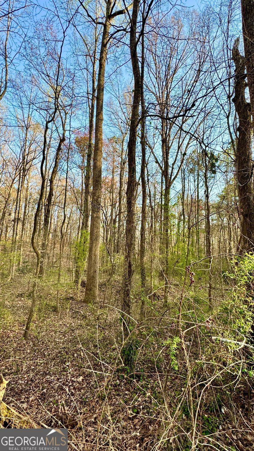 Douglasville, GA 30135,0 S Seminole