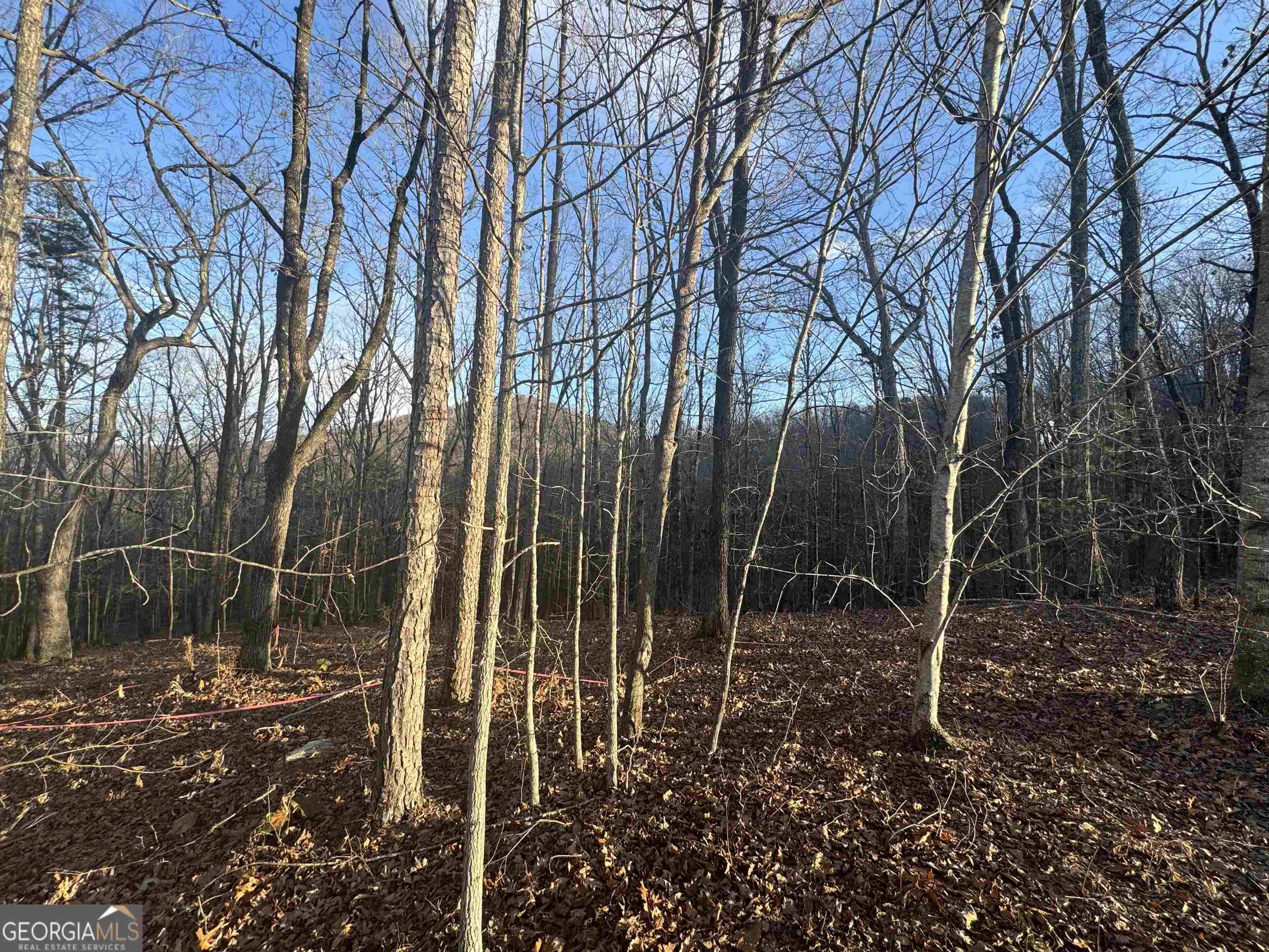 Cleveland, GA 30528,LOT 55 Teel Mtn DR
