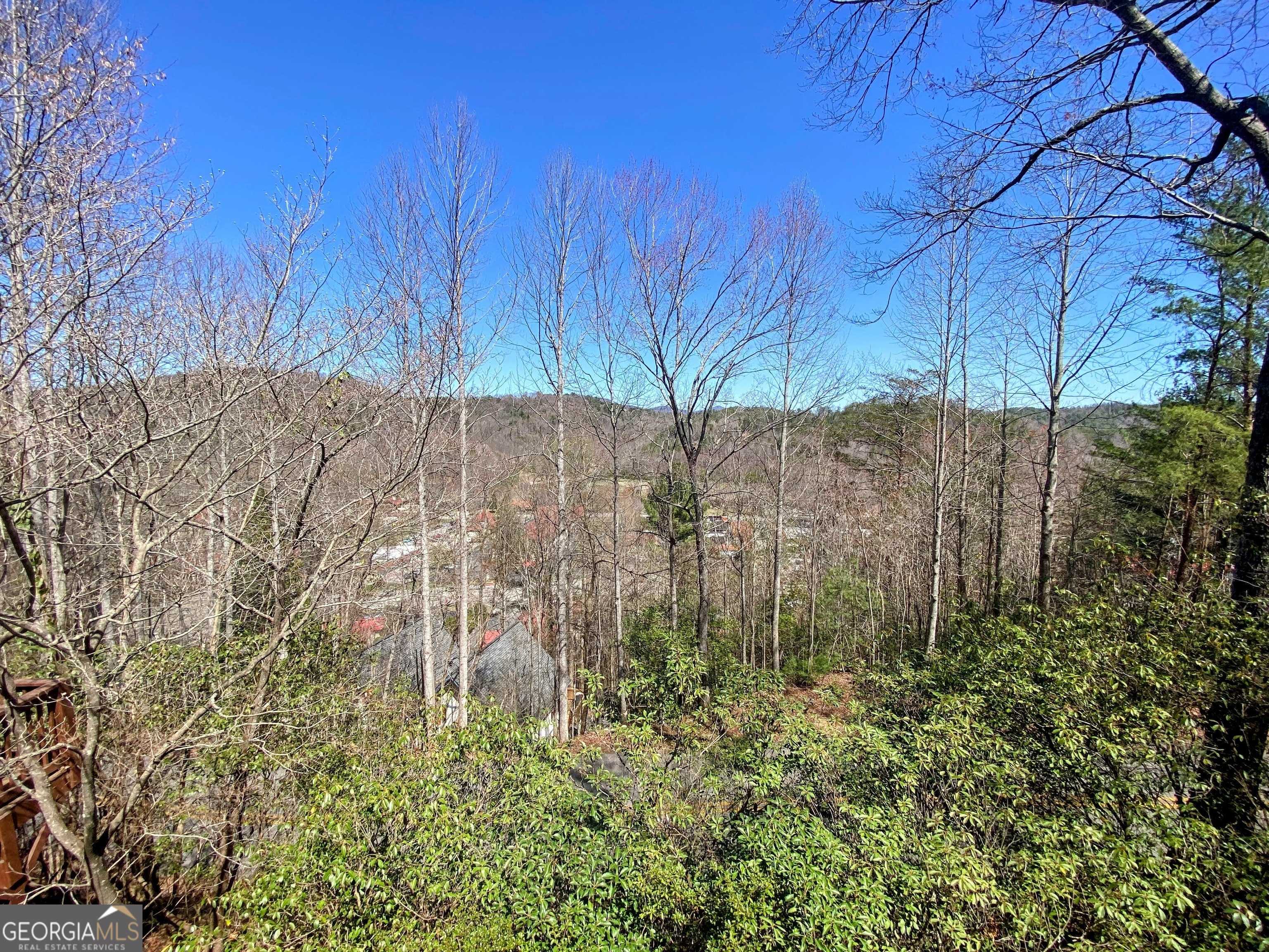 Helen, GA 30545,286 Alpenrosen Strasse #3