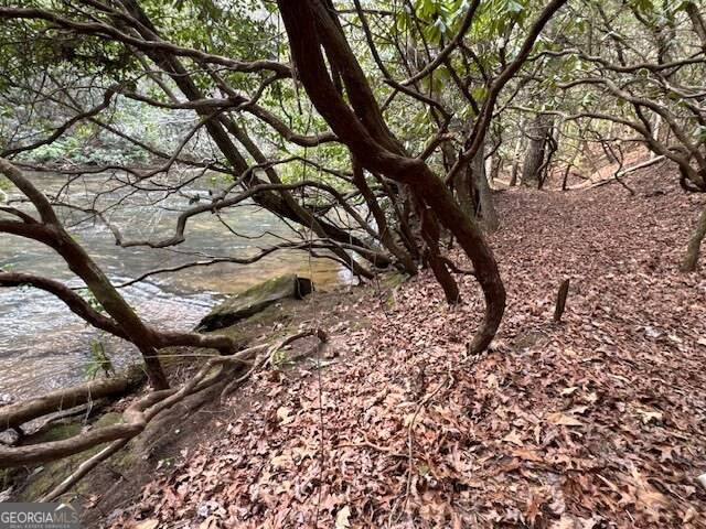 Dahlonega, GA 30533,0 Horseshoe Bend RD