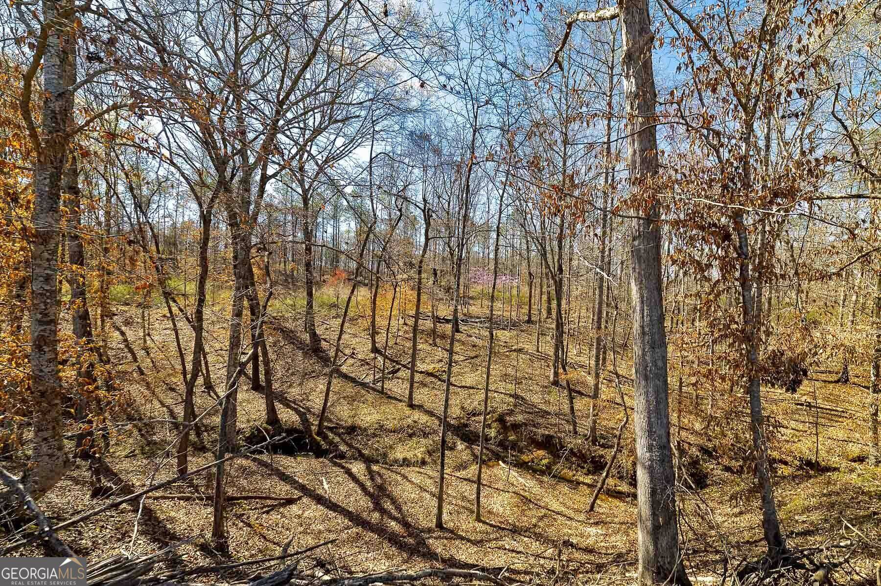 Flovilla, GA 30216,LOT 7 Mayfield RD