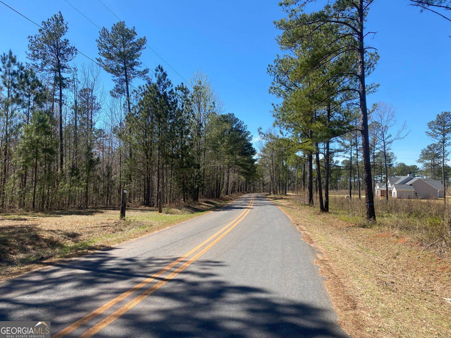 Forsyth, GA 31029,671 Giles RD