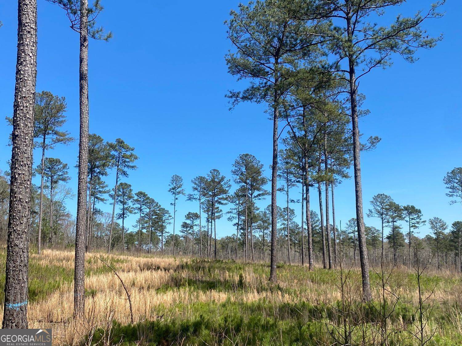 Forsyth, GA 31029,709 Giles RD