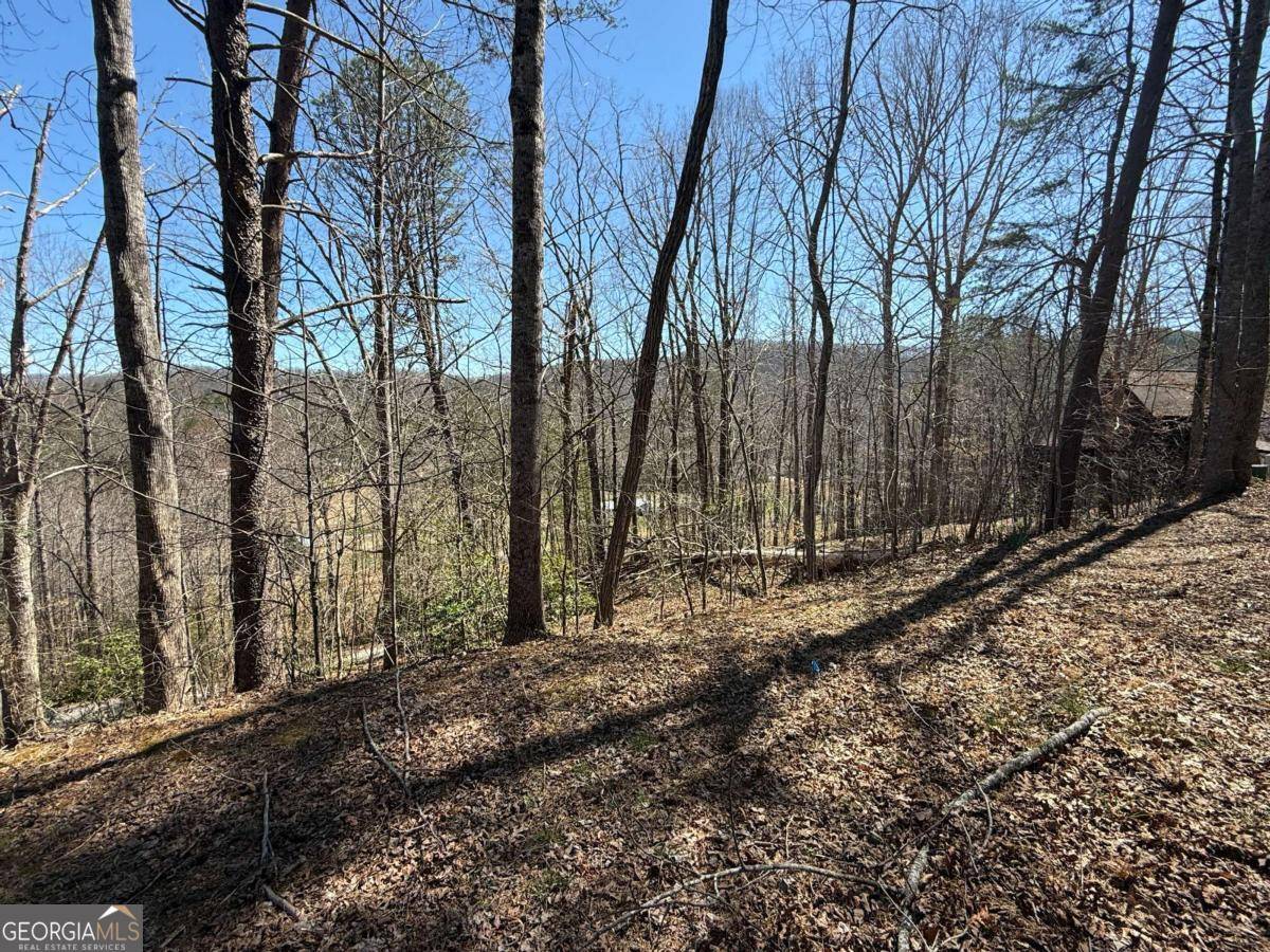 Hiawassee, GA 30546,1035 Sky Hawk Mountain DR