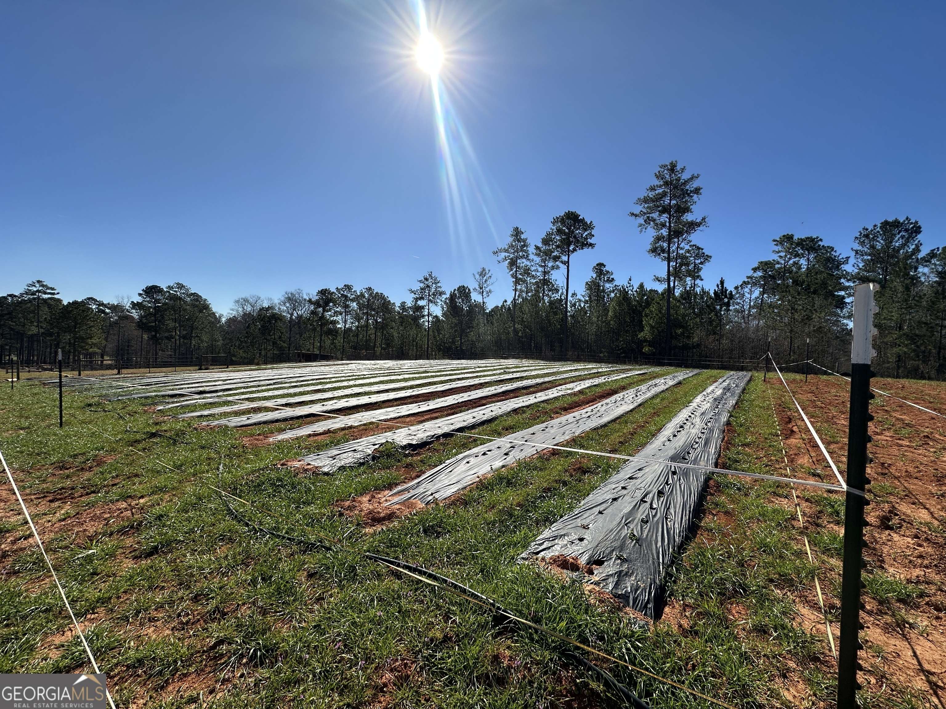 Warm Springs, GA 31830,146 ACRES Roosevelt HWY