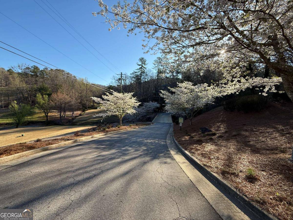 Clayton, GA 30525,LOT 105 Lancelot LOOP