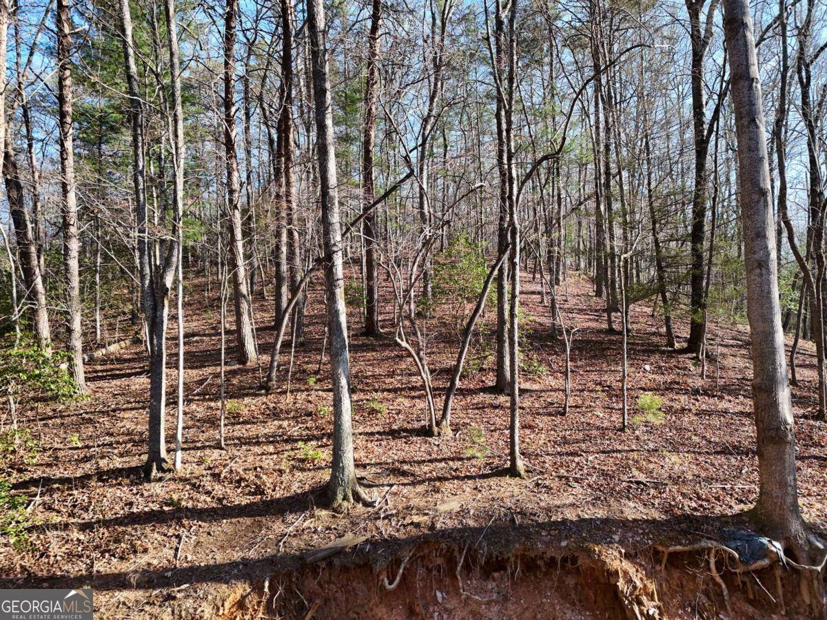 Mineral Bluff, GA 30559,300 Kaleb TRL
