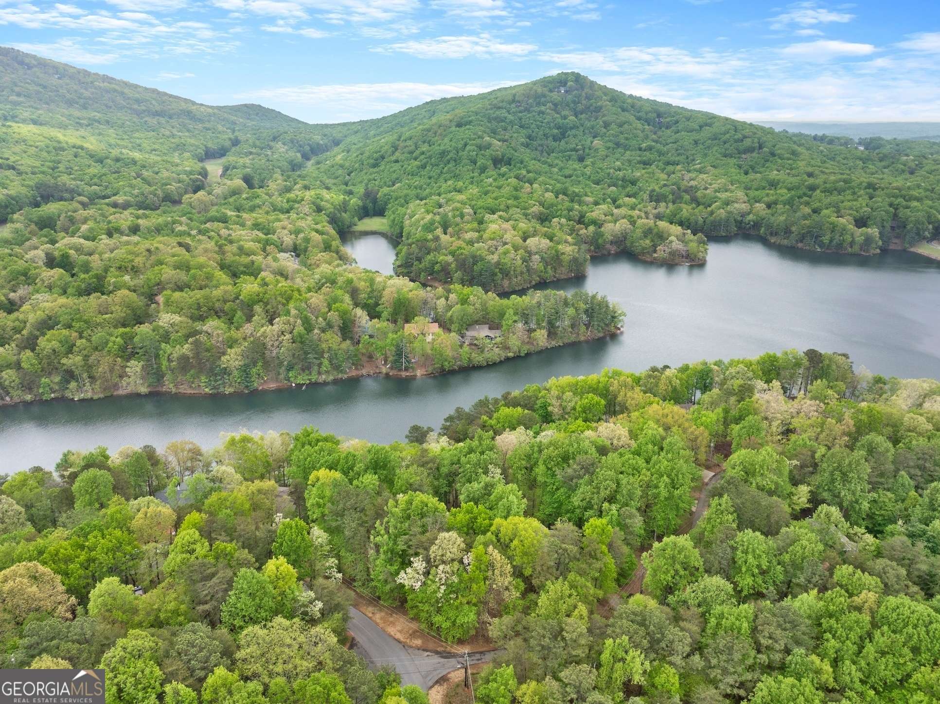 Jasper, GA 30143,19 Long Swamp DR