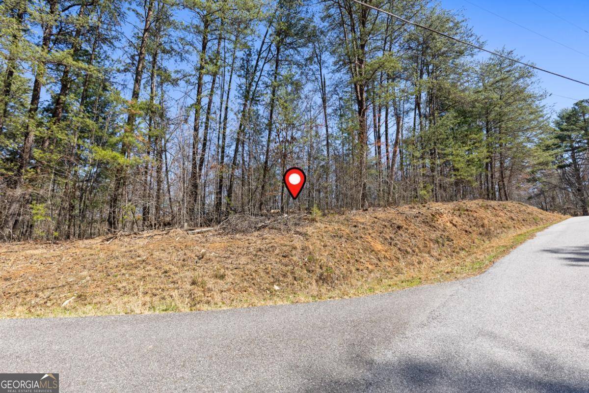 Mineral Bluff, GA 30559,LOT 41 Tomahawk LN #41